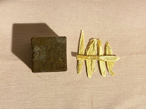Advanced+ ‘The Zing’ Facial Soap | 4 oz net wt. / 110g